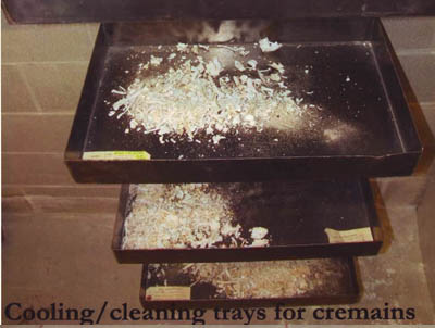 precious pets animal crematory