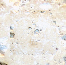 Marble