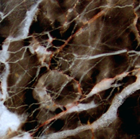 Marble
