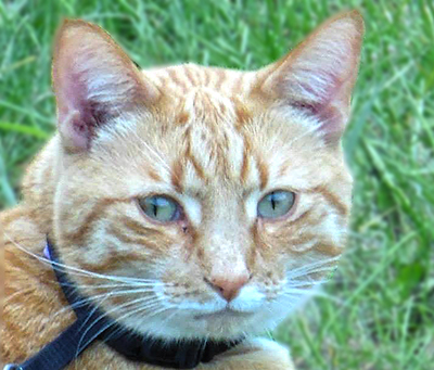 Rusty