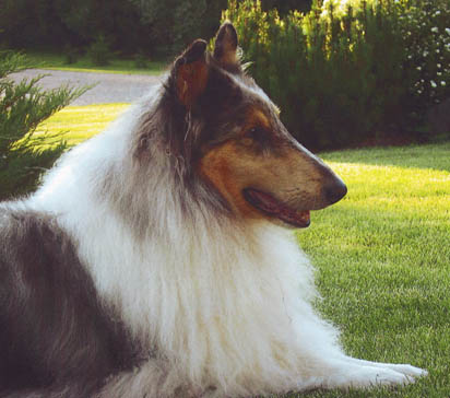 Coda